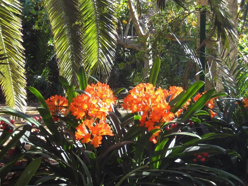 Finca Raims Algaida  Bed & Breakfast
