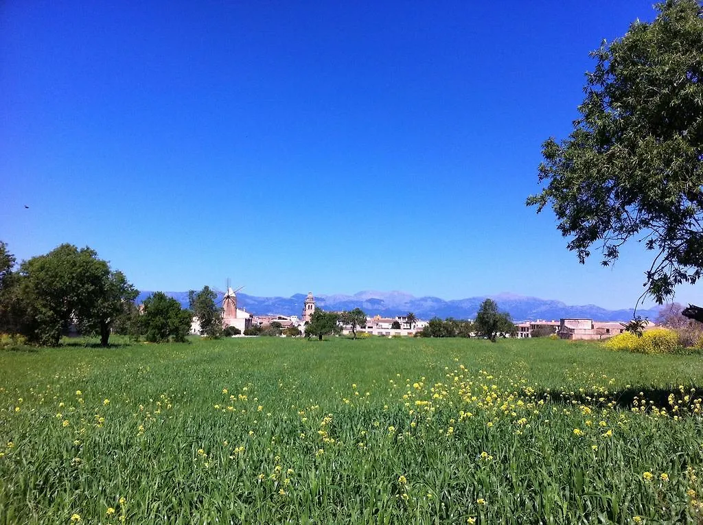 **** Bed & Breakfast Finca Raims Algaida  Spain