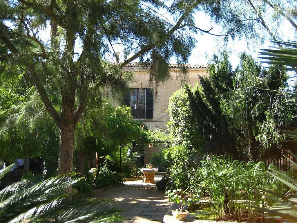 Finca Raims 알가이다