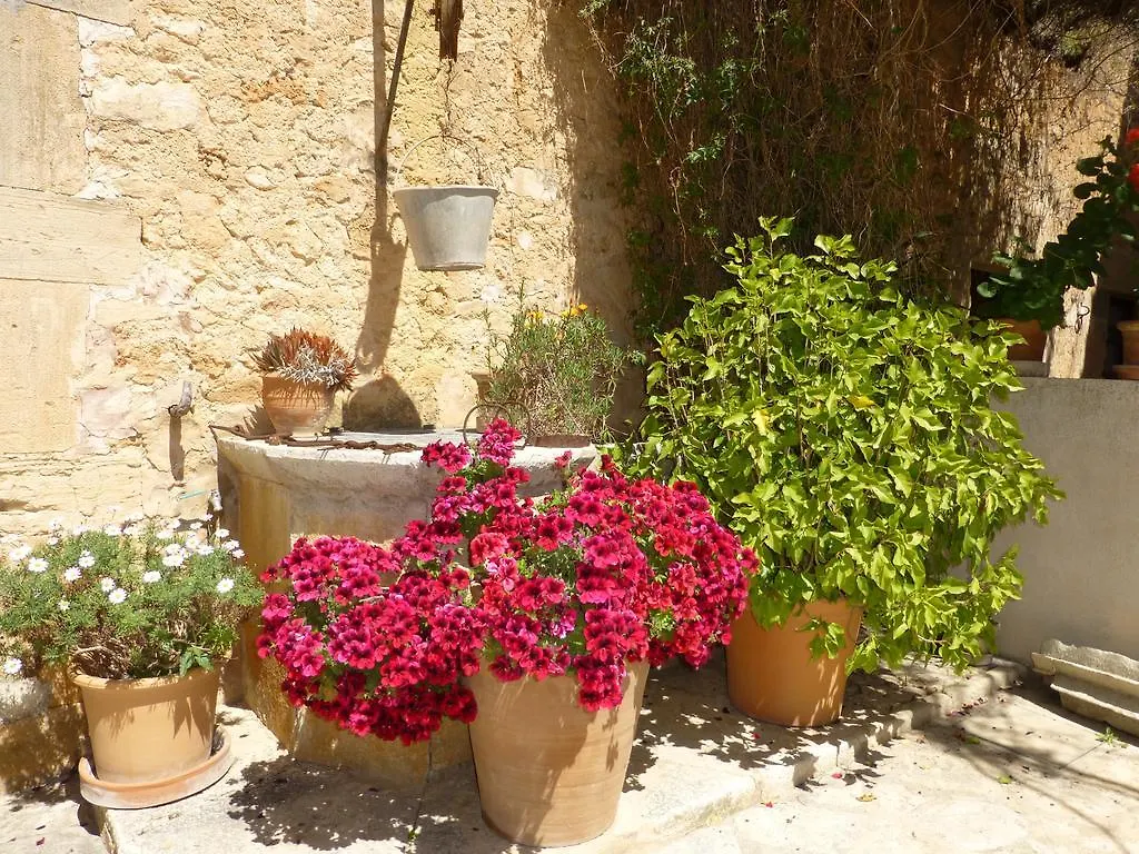 Finca Raims 알가이다 B&B